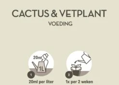 Pokon Cactus & Vetplant Voeding - 250ml - Plantenvoeding - 20ml Per 1L Water -Tuinwinkel Voor Buitenartikelen 1200x858 1