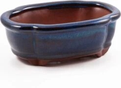 Happy Seed Keramieken Bonsai Pot (schaal) - Marine Blauw - Geglazuurd -Tuinwinkel Voor Buitenartikelen 1200x873