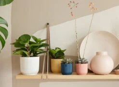 Elho Vibes Fold Rond Wielen 35 - Bloempot Voor Binnen - Ø 34.9 X H 32.4 Cm - Zijdewit -Tuinwinkel Voor Buitenartikelen 1200x879 8