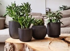 Capi Europe - Set Van 4 - Bloempot Binnen - Groove - Antraciet -Tuinwinkel Voor Buitenartikelen 1200x881 1