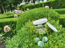 Topbuxus Buxus Health Mix 13 Topbuxus Buxus Health Mix -Tuinwinkel Voor Buitenartikelen 1200x899 9