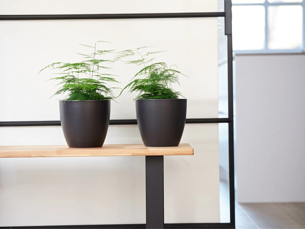 Plantenpot/bloempot In Een Strakke Scandinavische Look Zwart Dia 20 Cm En Hoogte 19 Cm Glanzend 2 Plantenpot/bloempot In Een Strakke Scandinavische Look Zwart Dia 20 Cm En Hoogte 19 Cm Glanzend - Afbeelding 2