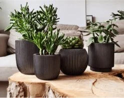 Capi Europe - Set Van 4 - Bloempot Binnen - Groove - Antraciet -Tuinwinkel Voor Buitenartikelen 1200x953