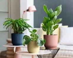 Elho Vibes Fold Rond Wielen 35 - Bloempot Voor Binnen - Ø 34.9 X H 32.4 Cm - Diepblauw 13 Elho Vibes Fold Rond Wielen 35 - Bloempot Voor Binnen - Ø 34.9 X H 32.4 Cm - Diepblauw -Tuinwinkel Voor Buitenartikelen 1200x956 1