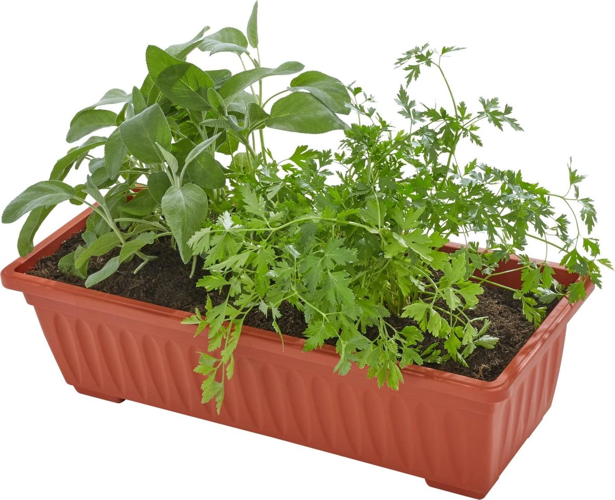 Tectake - Verticaal Plantenrek Met 4 Bakken - 403445 4 Tectake - Verticaal Plantenrek Met 4 Bakken - 403445 - Afbeelding 4