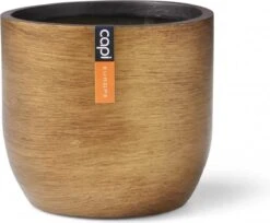 Capi Europe - Bloempot Bol Retro - 23x21 - Goud - Bloempot Voor Binnen - BRTG134 27 Capi Europe - Bloempot Bol Retro - 23x21 - Goud - Bloempot Voor Binnen - BRTG134 -Tuinwinkel Voor Buitenartikelen 1200x992 5