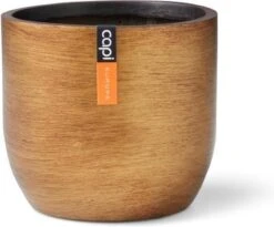 Capi Europe - Bloempot Bol Retro - 23x21 - Goud - Bloempot Voor Binnen - BRTG134 25 Capi Europe - Bloempot Bol Retro - 23x21 - Goud - Bloempot Voor Binnen - BRTG134 -Tuinwinkel Voor Buitenartikelen 1200x995