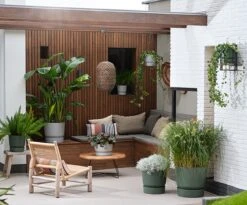 Elho Greenville Rond 30 - Grote Bloempot Voor Buiten - Gemaakt Van Gereycled Plastic - Ø 29.5 X H 27.8 Cm - Blad Groen -Tuinwinkel Voor Buitenartikelen 1200x996 2