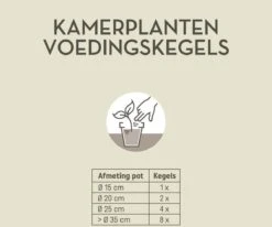 Pokon Kamerplanten Voedingskegels - 10st - Plantenvoeding - 6 Maanden Voeding -Tuinwinkel Voor Buitenartikelen 1200x999 1