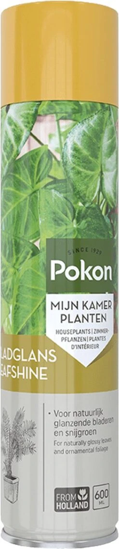 Pokon Bladglans 600ml 12 Pokon Bladglans 600ml -Tuinwinkel Voor Buitenartikelen 262x1200 2