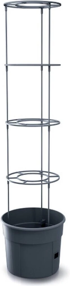 TOMATENPOT VOOR HET KWEKEN VAN TOMATEN PROSPERPLAST 28L -Tuinwinkel Voor Buitenartikelen 297x1200