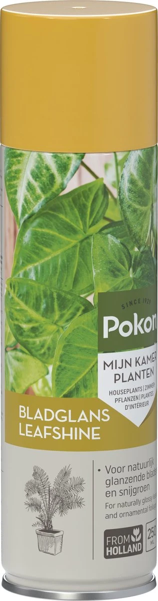 Pokon Bladglans 250ml 6 Pokon Bladglans 250ml - Afbeelding 6