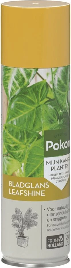 Pokon Bladglans 600ml 13 Pokon Bladglans 600ml -Tuinwinkel Voor Buitenartikelen 321x1200 1
