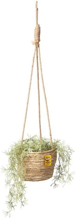 Merkloos Plantenhanger 18x15cm Naturel | Hangende Mand | Handgemaakt | Planten-houder / Hang-plant | Planten Accessoires | Hangmand 10 Merkloos Plantenhanger 18x15cm Naturel | Hangende Mand | Handgemaakt | Planten-houder / Hang-plant | Planten Accessoires | Hangmand -Tuinwinkel Voor Buitenartikelen 417x1200 1