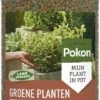 Pokon Voedingskorrels Voor Groene Planten - 800gr - 180 Dagen Voeding - Plantenvoeding