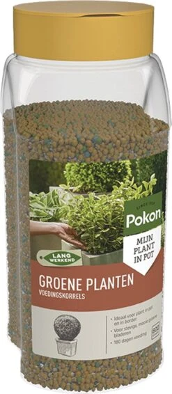 Pokon Voedingskorrels Voor Groene Planten - 800gr - 180 Dagen Voeding - Plantenvoeding -Tuinwinkel Voor Buitenartikelen 524x1200 1