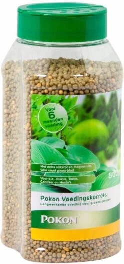Pokon Voedingskorrels Voor Groene Planten - 800gr - 180 Dagen Voeding - Plantenvoeding -Tuinwinkel Voor Buitenartikelen 566x1200