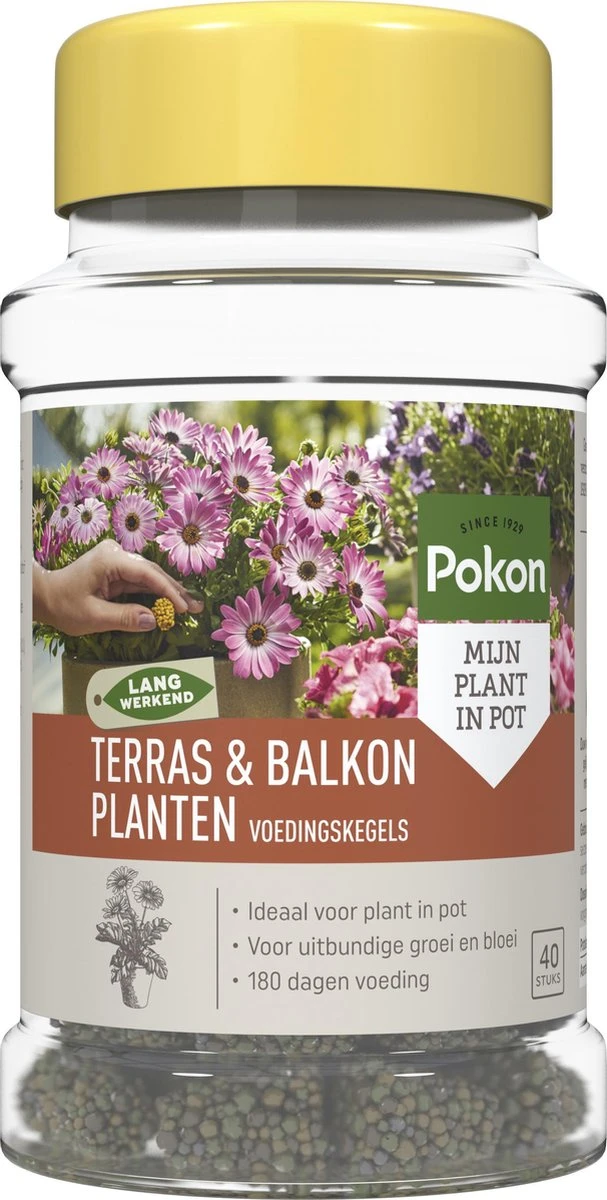 Pokon Voedingskegels Voor Terras- & Balkonplanten - 40 Stuks - 180 Dagen Voeding - Plantenvoeding 1 Pokon Voedingskegels Voor Terras- & Balkonplanten - 40 Stuks - 180 Dagen Voeding - Plantenvoeding