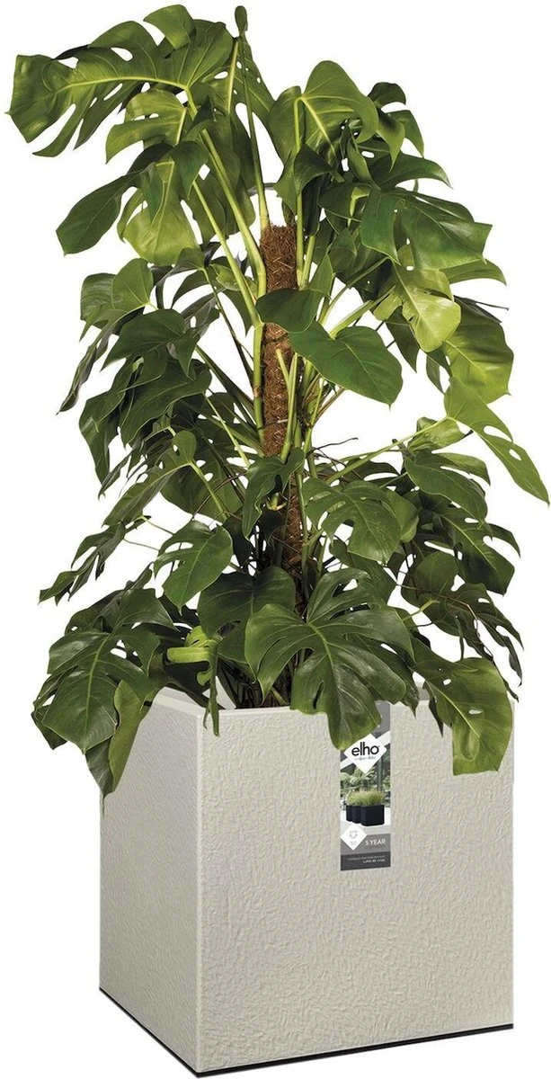 Elho Vivo Structure Finish Vierkant 40 - Plantenbak Voor Binnen & Buiten - Ø 39 X H 41 - Grijs/Warm Grijs 6 Elho Vivo Structure Finish Vierkant 40 - Plantenbak Voor Binnen & Buiten - Ø 39 X H 41 - Grijs/Warm Grijs - Afbeelding 6