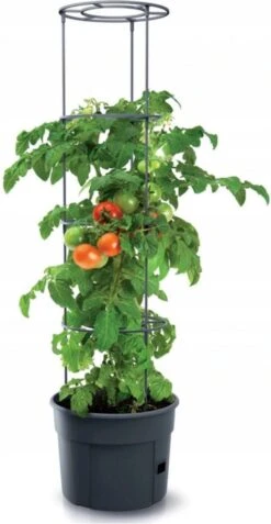 TOMATENPOT VOOR HET KWEKEN VAN TOMATEN PROSPERPLAST 28L -Tuinwinkel Voor Buitenartikelen 621x1200 8