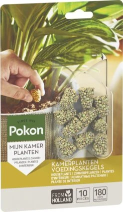 Pokon Kamerplanten Voedingskegels - 10st - Plantenvoeding - 6 Maanden Voeding -Tuinwinkel Voor Buitenartikelen 699x1200 3