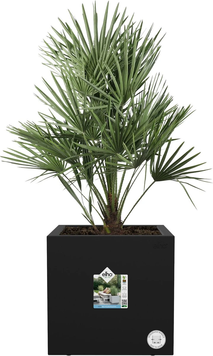 Elho Vivo Next Vierkant 30 - Plantenbak Voor Binnen & Buiten - Ø 29.5 X H 29.5 Cm - Zwart/Living Black 2 Elho Vivo Next Vierkant 30 - Plantenbak Voor Binnen & Buiten - Ø 29.5 X H 29.5 Cm - Zwart/Living Black - Afbeelding 2