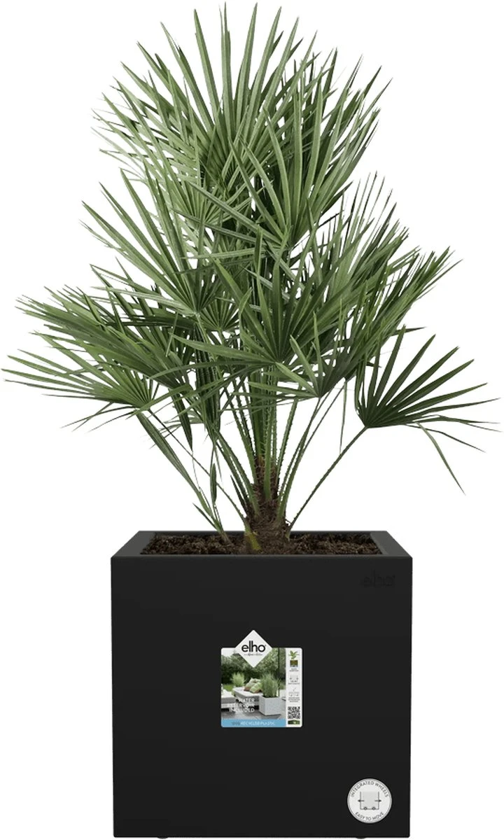 Elho Vivo Next Vierkant 30 - Plantenbak Voor Binnen & Buiten - Ø 29.5 X H 29.5 Cm - Zwart/Living Black 11 Elho Vivo Next Vierkant 30 - Plantenbak Voor Binnen & Buiten - Ø 29.5 X H 29.5 Cm - Zwart/Living Black - Afbeelding 11