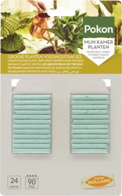 Pokon Groene Planten Voedingsstaafjes - 24st - Plantenvoeding - Meststofstaafjes