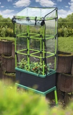 Bio Green Dekking Voor CityJungle -Tuinwinkel Voor Buitenartikelen 763x1200