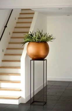 Capi Europe - Vaas Bol Retro - 30x25 - Goud - Bloempot Voor Binnen - BRTG104 13 Capi Europe - Vaas Bol Retro - 30x25 - Goud - Bloempot Voor Binnen - BRTG104 -Tuinwinkel Voor Buitenartikelen 788x1200