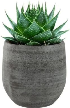 Pot Esra Mystic Grey Bloempot Binnen 15 Cm -Tuinwinkel Voor Buitenartikelen 789x1200 2