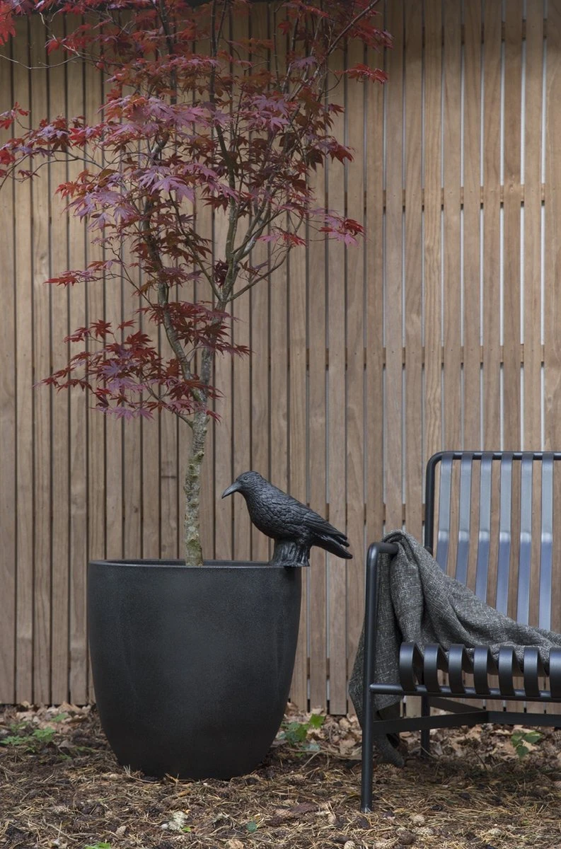 Capi Europe - Bloempot Bol Smooth NL - 54x52 - Zwart - Voor Binnen En Buiten - KBL935 6 Capi Europe - Bloempot Bol Smooth NL - 54x52 - Zwart - Voor Binnen En Buiten - KBL935 - Afbeelding 6