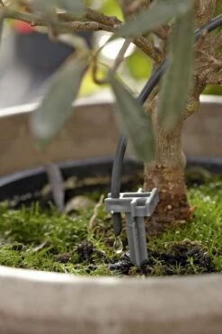 GARDENA Vakantiebewateringsset Duppelsysteem - Geschikt Voor 36 Potplanten - Incl. 9l Vat -Tuinwinkel Voor Buitenartikelen 799x1200 20