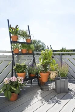 GARDENA Vakantiebewateringsset Duppelsysteem - Geschikt Voor 36 Potplanten - Incl. 9l Vat -Tuinwinkel Voor Buitenartikelen 799x1200 21