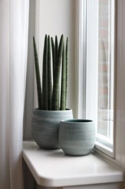 Tokio Bloempot Blauw Aqua D28 X H26 Cm - Nieuwe Collectie -Tuinwinkel Voor Buitenartikelen 800x1200 103