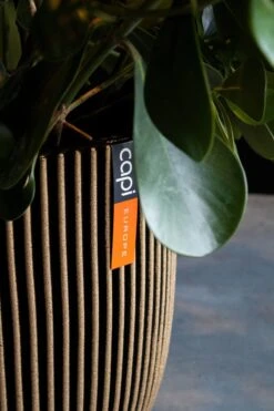 Capi Europe - Bloempot Bol Groove NL - 35x34 - Goud - Voor Binnen En Buiten - KGVGB932 -Tuinwinkel Voor Buitenartikelen 800x1200 105