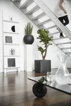 Capi Europe - Bloempot Vierkant Smooth NL - 40x40x40 - Zwart - Voor Binnen En Buiten - KBL903 -Tuinwinkel Voor Buitenartikelen 800x1200 106