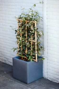Capi Europe - Bloempot Vierkant Smooth NL - 40x40x40 - Zwart - Voor Binnen En Buiten - KBL903 -Tuinwinkel Voor Buitenartikelen 800x1200 107