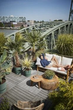 Elho Greenville Rond 30 - Grote Bloempot Voor Buiten - Gemaakt Van Gereycled Plastic - Ø 29.5 X H 27.8 Cm - Blad Groen -Tuinwinkel Voor Buitenartikelen 800x1200 110