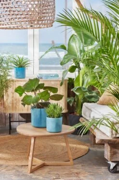 Elho The Ocean Collection Round 22cm - Bloempot Voor Binnen - 100% Gerecycled Materiaal - Gemaakt Met Zeeafval - Ø 22.3 X H 20.4 Cm - Atlantisch Blauw -Tuinwinkel Voor Buitenartikelen 800x1200 114