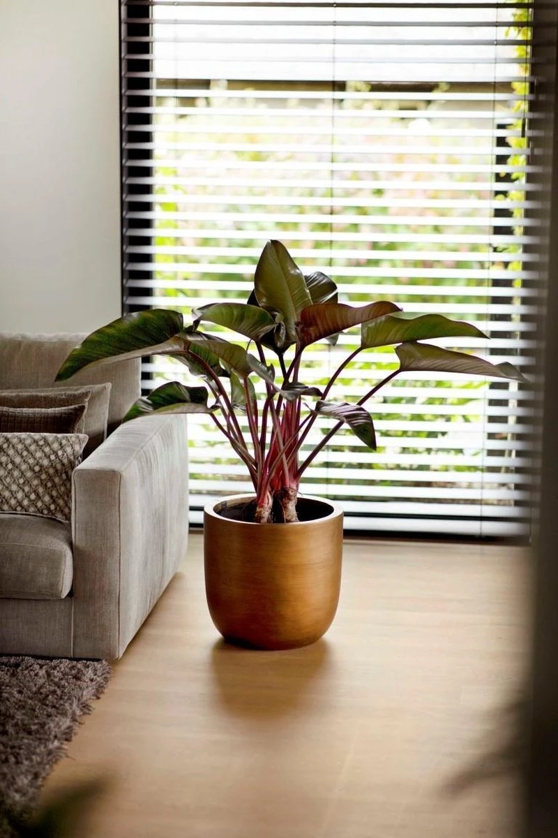 Capi Europe - Bloempot Bol Retro - 23x21 - Goud - Bloempot Voor Binnen - BRTG134 11 Capi Europe - Bloempot Bol Retro - 23x21 - Goud - Bloempot Voor Binnen - BRTG134 - Afbeelding 11