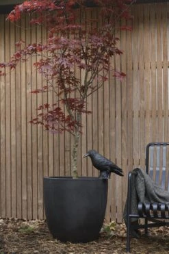 Capi Europe - Bloempot Bol Smooth NL - 43x41 - Zwart - Voor Binnen En Buiten - KBL933 22 Capi Europe - Bloempot Bol Smooth NL - 43x41 - Zwart - Voor Binnen En Buiten - KBL933 -Tuinwinkel Voor Buitenartikelen 800x1200 133