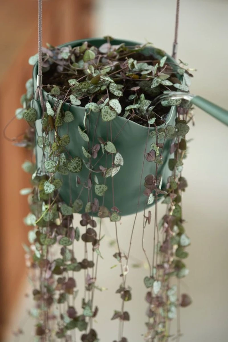 Elho B.for Swing 18 Hangpot - Bloempot Voor Binnen - Ø 18.0 X H 16.5 Cm - Groen/Blad Groen 9 Elho B.for Swing 18 Hangpot - Bloempot Voor Binnen - Ø 18.0 X H 16.5 Cm - Groen/Blad Groen - Afbeelding 9