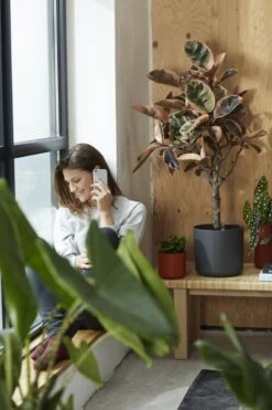 Elho B.for Soft Rond 35 - Bloempot Voor Binnen - Ø 34.5 X H 32.3 Cm - Antraciet -Tuinwinkel Voor Buitenartikelen 800x1200 139