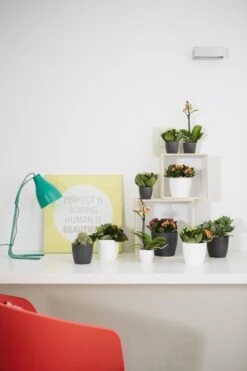 Elho B.for Soft Rond 35 - Bloempot Voor Binnen - Ø 34.5 X H 32.3 Cm - Antraciet -Tuinwinkel Voor Buitenartikelen 800x1200 141