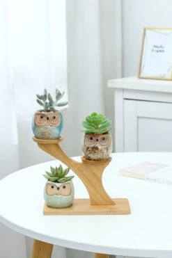 Luxe Bamboe Houten Boom Met 3 Keramiek Uil Bloempotten/Plantenpotten Op Standaard/Voet Voor Binnen En Buiten - Modern Design Bloempot/Plantenpot Op Poten/Pootjes-Plantenbak Mini Cactus Nep Plant Pot Houder - Kleine Bloembakken Plantenrek/Plantenkurk -Tuinwinkel Voor Buitenartikelen 800x1200 152