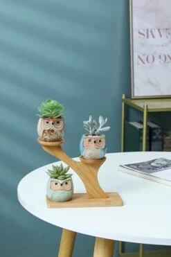 Luxe Bamboe Houten Boom Met 3 Keramiek Uil Bloempotten/Plantenpotten Op Standaard/Voet Voor Binnen En Buiten - Modern Design Bloempot/Plantenpot Op Poten/Pootjes-Plantenbak Mini Cactus Nep Plant Pot Houder - Kleine Bloembakken Plantenrek/Plantenkurk -Tuinwinkel Voor Buitenartikelen 800x1200 153