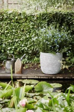 Capi Europe - Bloempot Bol Rib NL - 35x34 - Ivoor - Voor Binnen En Buiten - KOFI932 -Tuinwinkel Voor Buitenartikelen 800x1200 156