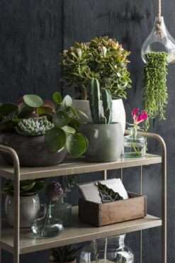 Mica Decorations Lester Bloempot - H31 X Ø33 Cm - Terracotta - Groen 15 Mica Decorations Lester Bloempot - H31 X Ø33 Cm - Terracotta - Groen -Tuinwinkel Voor Buitenartikelen 800x1200 160