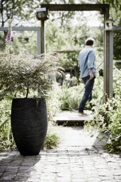 Capi Europe - Vaas Elegant Deluxe Rib NL - 40x60 - Zwart - Voor Binnen En Buiten - KBLR1131 39 Capi Europe - Vaas Elegant Deluxe Rib NL - 40x60 - Zwart - Voor Binnen En Buiten - KBLR1131 -Tuinwinkel Voor Buitenartikelen 800x1200 166